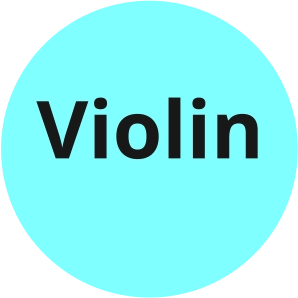 Violin